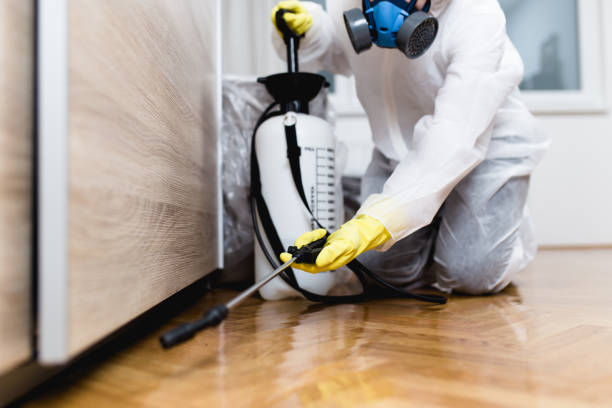Best Affordable Pest Control Services  in Raeford, NC