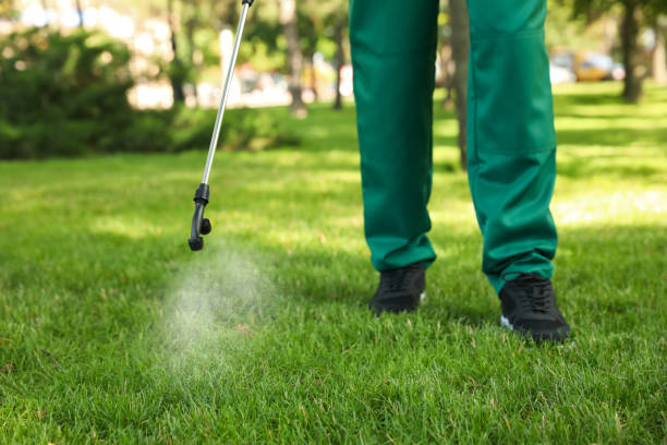 Best Pest Inspection Near Me  in Raeford, NC