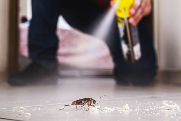Best Pest Control Near Me  in Raeford, NC